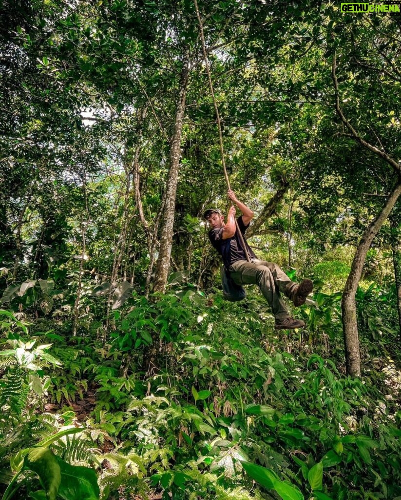Sascha Burci Instagram - 🇮🇹: Finalmente sono tornato a casa nel mio habitat naturale🐒 Da domani inizia il corso di con Tarzan, vi tengo aggiornati! 🇬🇧: I am finally back home in my natural habitat🐒. Tomorrow starts the course with Tarzan, I'll keep you updated! Isla Margarita Venezuela