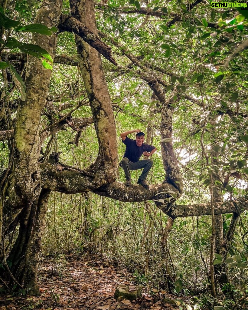 Sascha Burci Instagram - 🇮🇹: Finalmente sono tornato a casa nel mio habitat naturale🐒 Da domani inizia il corso di con Tarzan, vi tengo aggiornati! 🇬🇧: I am finally back home in my natural habitat🐒. Tomorrow starts the course with Tarzan, I'll keep you updated! Isla Margarita Venezuela