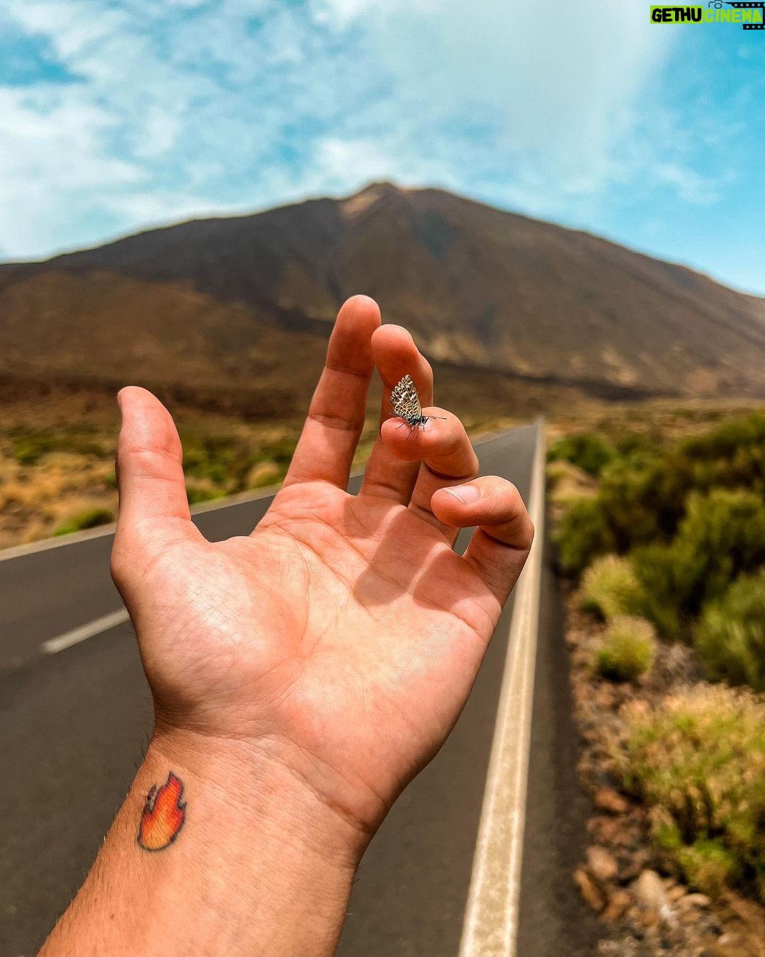 Sascha Burci Instagram - ๐ฎ๐น: Dal mare alla cima del vulcano piรน alto in Europa, il Teide! 52km a piedi, 2 giorni di viaggio, 1 obiettivo. ๐ Il desiderio รจ la chiave della motivazione per riuscire in qualsiasi cosa. ๐ฌ๐ง: From the sea to the summit of Europe's highest volcano, Teide! 52km on foot, 2 days of travel, 1 goal. ๐ Desire is the key to motivation to succeed in anything.