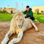 Sascha Burci Instagram – 🇮🇹: Quando si dice: “hai un coraggio da Leone”🦁 
La paura è umana, ma combattetela con il coraggio e con un pizzico di follia.

🇬🇧: When they say: “You have the courage of a lion” 🦁
Fear is human, but fight it with courage and a dash of madness. Dubai –  دبى