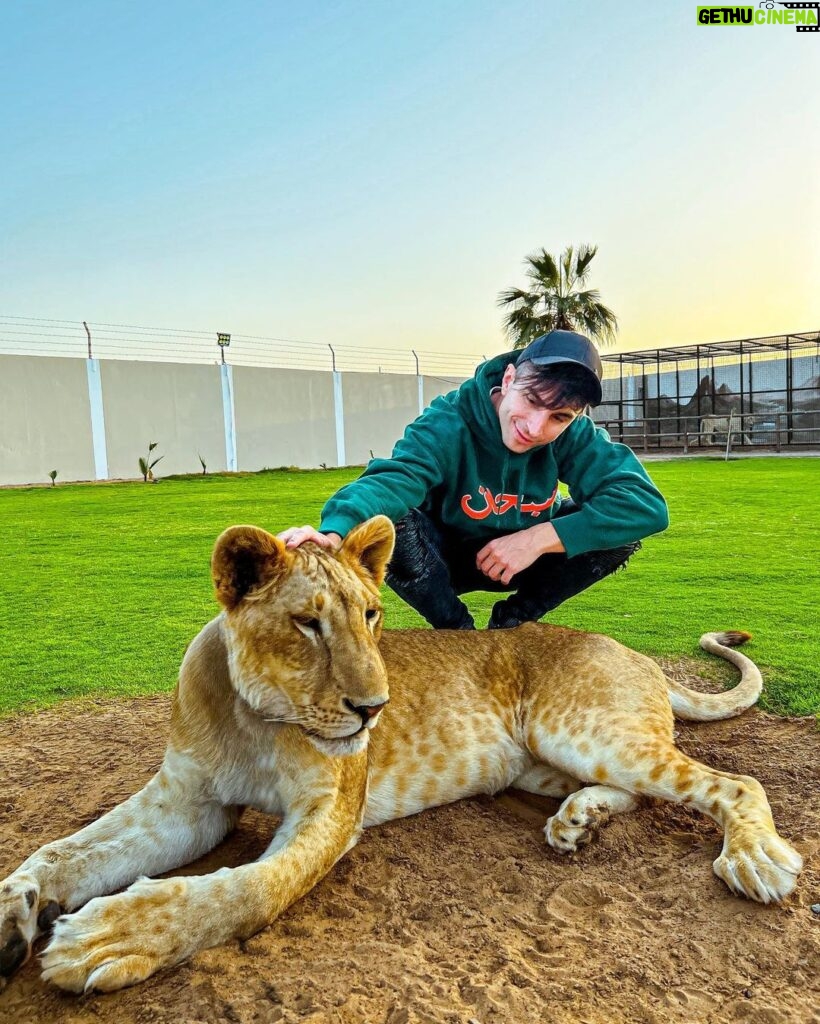 Sascha Burci Instagram - 🇮🇹: Quando si dice: “hai un coraggio da Leone”🦁 La paura è umana, ma combattetela con il coraggio e con un pizzico di follia. 🇬🇧: When they say: “You have the courage of a lion” 🦁 Fear is human, but fight it with courage and a dash of madness. Dubai - دبى