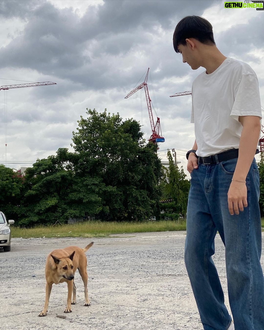 Sattabut Laedeke Instagram - ภารกิจตีสนิทโบ้ 🐶