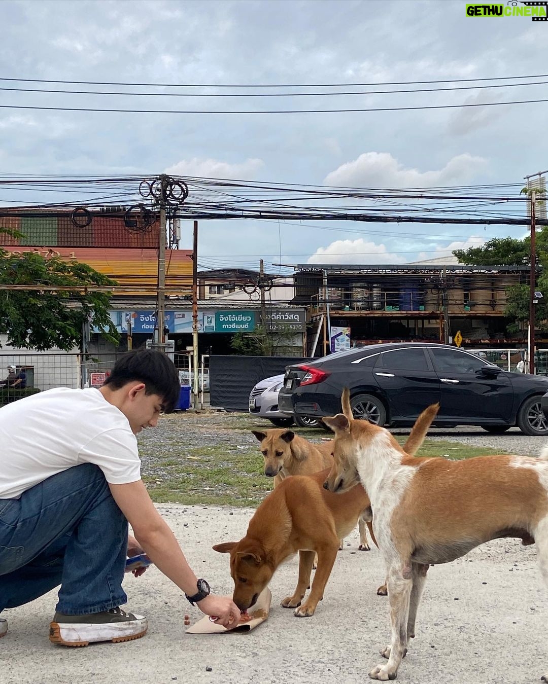 Sattabut Laedeke Instagram - ภารกิจตีสนิทโบ้ 🐶