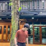 Sattabut Laedeke Instagram – ชาไทยอร่อยดี