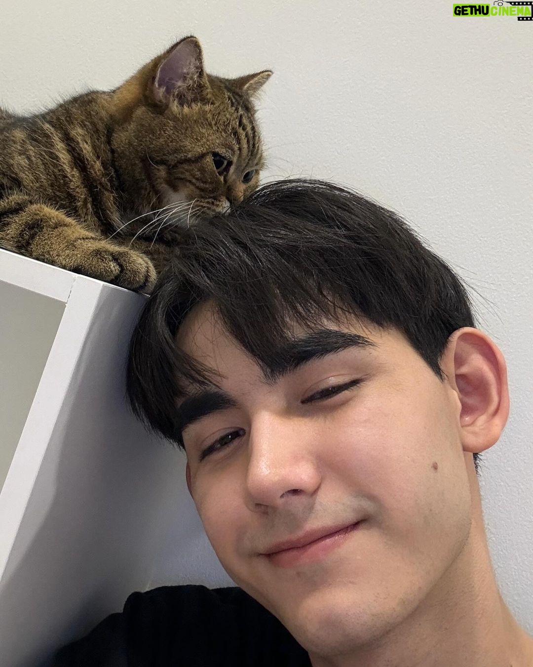 Sattabut Laedeke Instagram - Happy said good night 😊😸