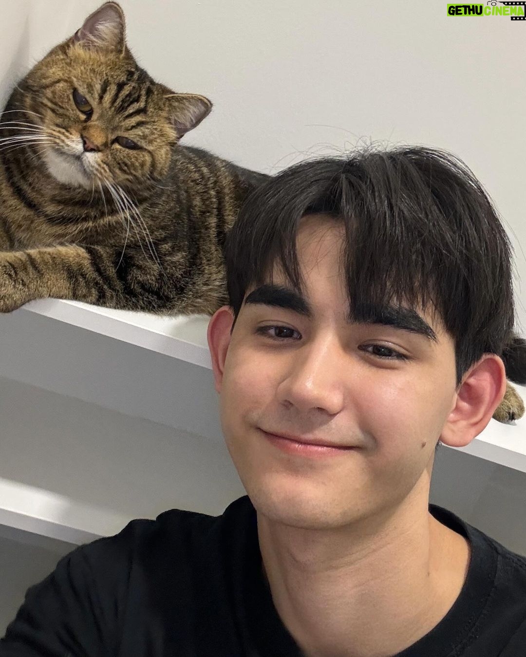 Sattabut Laedeke Instagram - Happy said good night 😊😸