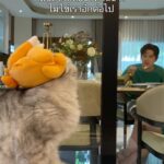 Sattaphong Phiangphor Instagram - เวลาเปลี่ยน คนก็เปลี่ยน😔 @richie911family