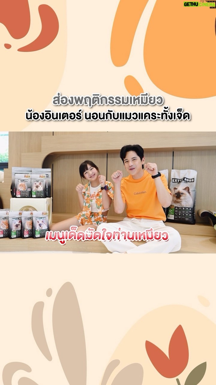 Sattaphong Phiangphor Instagram - อินเตอร์มานอนห้องแมวบ้านพี่เต๋า 😻 @kattybossandbravoboss #KATTYBOSSPlatinum #เมนูเด็ดมัดใจท่านเหมียว #อาหารแมวเกรดพรีเมี่ยม