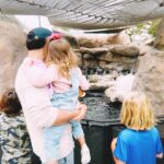 Scooter Braun Instagram - Photo Film dump #2 #happysundays