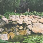 Scooter Braun Instagram - Photo Film dump #2 #happysundays