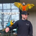 Scooter Braun Instagram - How do you call your friends? If you know me you know this is normal behavior 😝 🦜 also superbowl halftime show with @usher in one week!! Let’s gooooo
