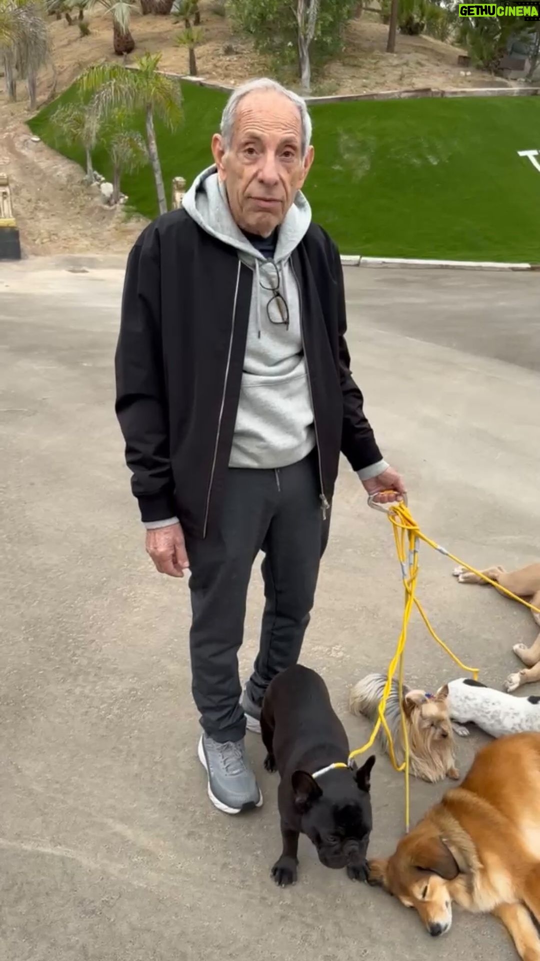 Sebastian Maniscalco Instagram - My father the dog whisperer.