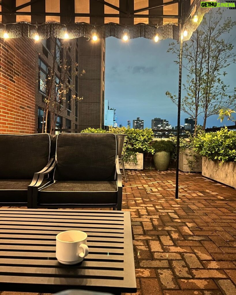Selma Blair Instagram - NY. Tea. Terrace. Scout. Happy.