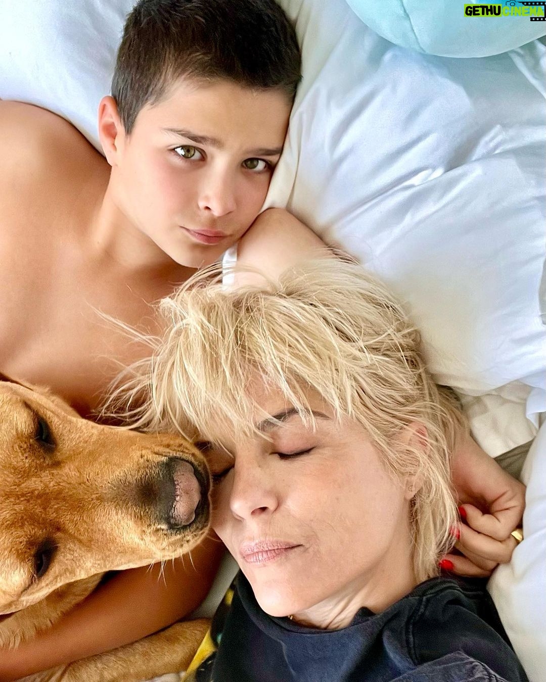 Selma Blair Instagram - My Saint, Arthur, happy birthday π. This has been the most incredible life with you. Forever my favorite, I know you are going to have the best year yet. I am so proud of who you are and have become. Usually π¦. The most adorable little kid has grown into a 12 year old!!!! π£π¦
. I love you and I like you. Massively. π mom Image descriptions: 1. A younger Arthur sits inside a brown handbag next to Selma while both look at the camera. They are poolside. 2. A 12-year old Arthur with short hair sitting on his motorbike and looking at camera. 3. Selma and Arthur wearing blue and white striped shirts sitting next to each other and looking at camera. 4. Arthur and Jason are on a boat with the sun and ocean behind them. They are smiling and looking at camera. 5. Selma, Arthur, and her dog Scout laying in bed. 6. Arthur in a striped sweater cuddles their dog Pippa. 7. An older photo of Selma and Arthur. Selma has long hair and they are smiling at the camera. 8. Selma and Arthur sit in bed. Selma is looking at Arthur and Arthur is looking into the distance. 9. Arthur in a blue shirt and short hair cuddles their dog Scout. 10. A younger Arthur with wild hair holding a guitar and smiling at camera.