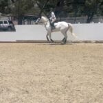 Selma Blair Instagram - This is my social life and it’s pretty grand. Mr Nibbles gives me all the emotions. 🎭 It’s getting hot out here, drink your water 💁🏼💦 Image Descriptions: Image 1: Selma has short blonde hair and wears a white long sleeve shirt. She is smiling and standing next to her white horse. Image 2: Selma wears a white long sleeve, tan pants, boots, and a helmet and is sitting outside. Video: Video of Selma riding her horse Image 3: Selma poses with her horse Image 4: Close up image of Selma in her riding gear. Image 5: Selma poses with her horse.