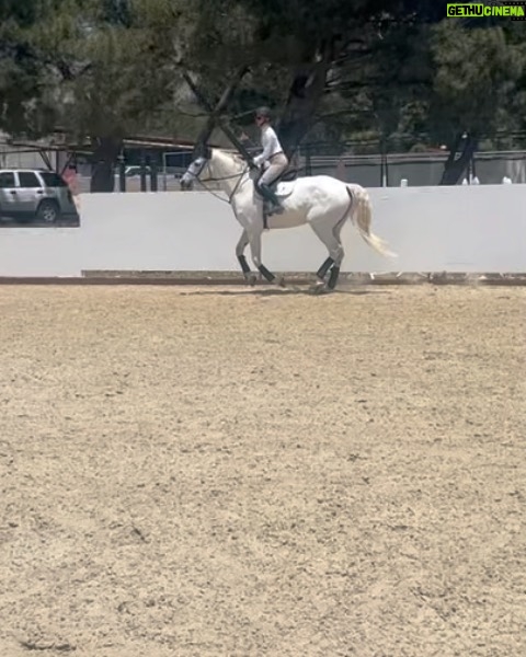 Selma Blair Instagram - This is my social life and itโs pretty grand. Mr Nibbles gives me all the emotions. ๐ญ Itโs getting hot out here, drink your water ๐๐ผ๐ฆ Image Descriptions: Image 1: Selma has short blonde hair and wears a white long sleeve shirt. She is smiling and standing next to her white horse. Image 2: Selma wears a white long sleeve, tan pants, boots, and a helmet and is sitting outside. Video: Video of Selma riding her horse Image 3: Selma poses with her horse Image 4: Close up image of Selma in her riding gear. Image 5: Selma poses with her horse.