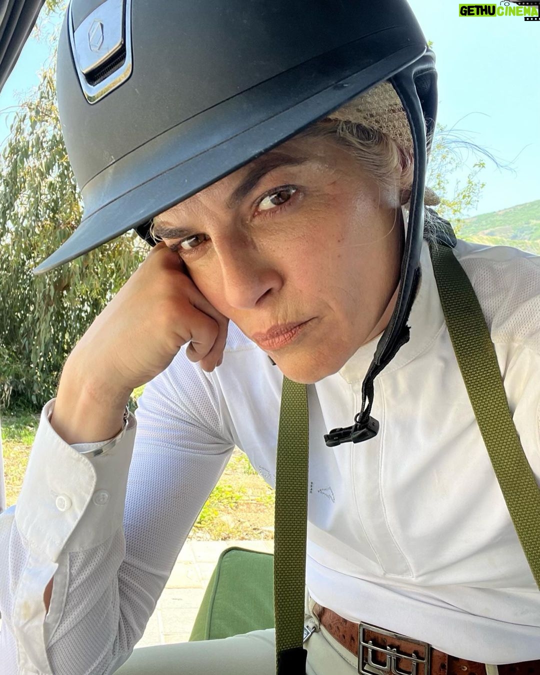 Selma Blair Instagram - This is my social life and itโs pretty grand. Mr Nibbles gives me all the emotions. ๐ญ Itโs getting hot out here, drink your water ๐๐ผ๐ฆ Image Descriptions: Image 1: Selma has short blonde hair and wears a white long sleeve shirt. She is smiling and standing next to her white horse. Image 2: Selma wears a white long sleeve, tan pants, boots, and a helmet and is sitting outside. Video: Video of Selma riding her horse Image 3: Selma poses with her horse Image 4: Close up image of Selma in her riding gear. Image 5: Selma poses with her horse.
