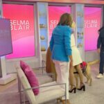 Selma Blair Instagram - You are my slay of the day every day @hodakotb and @jennabhager ! Thank you for having me on @hodaandjenna to talk Mean Baby! 📖💗 Image Descriptions: Image 1: Selma has short blonde hair and is standing on the left in a cream jacket and skirt. Hoda is in the middle in a yellow jacket with her arm around Selma. Jenna is on the right holding a cup of coffee wearing an orange skirt and top. Image 2: Selma getting her makeup touched up by Frankie. Selma is wearing a white robe with clips in her hair. Rita is in the background of the two. Image 3: Selma stands with Kate Young. Selma is wearing a striped shirt and jeans. Kate wears a grey sweater and black pants. Image 4: Selma stands in a matching cream skirt set, sunglasses, and black heels. Kate young is adjusting her outfit. Video: Selma walking into set with her dog, Scout. Selma greets Hoda and Jenna with hugs. Image 5: Selma sits in her robe and smiles to the camera.