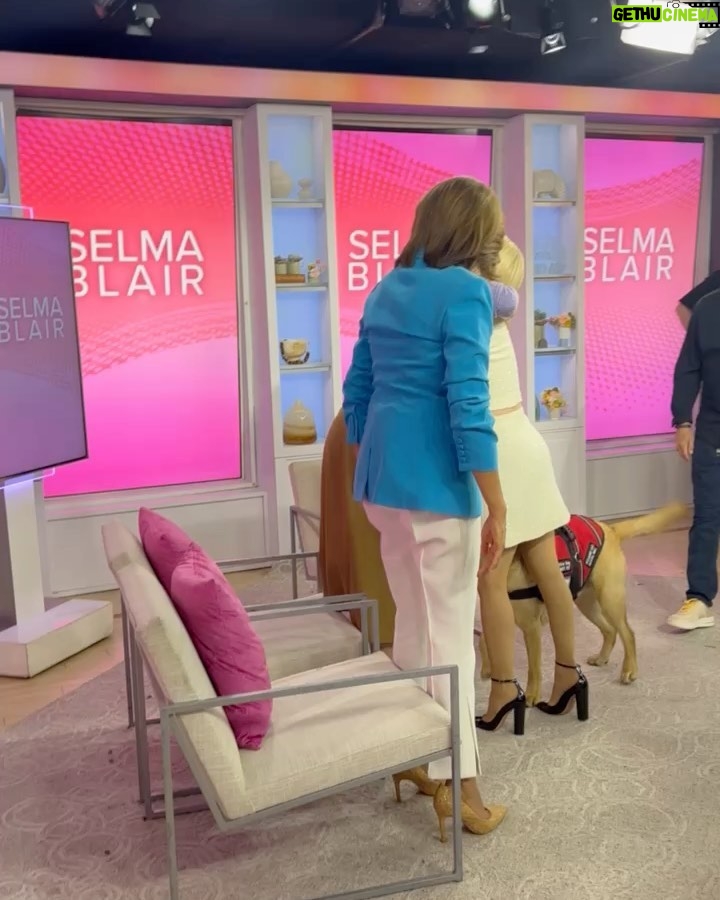 Selma Blair Instagram - You are my slay of the day every day @hodakotb and @jennabhager ! Thank you for having me on @hodaandjenna to talk Mean Baby! 📖💗 Image Descriptions: Image 1: Selma has short blonde hair and is standing on the left in a cream jacket and skirt. Hoda is in the middle in a yellow jacket with her arm around Selma. Jenna is on the right holding a cup of coffee wearing an orange skirt and top. Image 2: Selma getting her makeup touched up by Frankie. Selma is wearing a white robe with clips in her hair. Rita is in the background of the two. Image 3: Selma stands with Kate Young. Selma is wearing a striped shirt and jeans. Kate wears a grey sweater and black pants. Image 4: Selma stands in a matching cream skirt set, sunglasses, and black heels. Kate young is adjusting her outfit. Video: Selma walking into set with her dog, Scout. Selma greets Hoda and Jenna with hugs. Image 5: Selma sits in her robe and smiles to the camera.