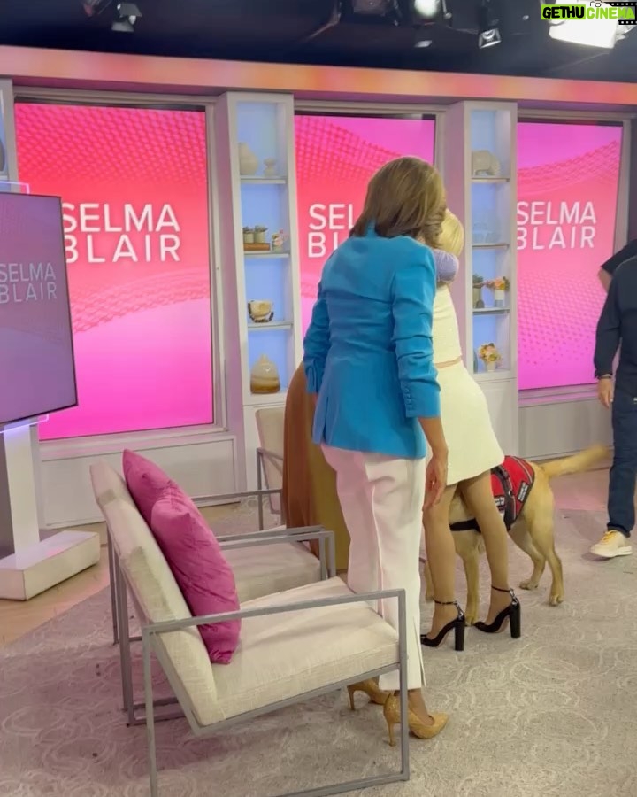 Selma Blair Instagram - You are my slay of the day every day @hodakotb and @jennabhager ! Thank you for having me on @hodaandjenna to talk Mean Baby! ππ Image Descriptions: Image 1: Selma has short blonde hair and is standing on the left in a cream jacket and skirt. Hoda is in the middle in a yellow jacket with her arm around Selma. Jenna is on the right holding a cup of coffee wearing an orange skirt and top. Image 2: Selma getting her makeup touched up by Frankie. Selma is wearing a white robe with clips in her hair. Rita is in the background of the two. Image 3: Selma stands with Kate Young. Selma is wearing a striped shirt and jeans. Kate wears a grey sweater and black pants. Image 4: Selma stands in a matching cream skirt set, sunglasses, and black heels. Kate young is adjusting her outfit. Video: Selma walking into set with her dog, Scout. Selma greets Hoda and Jenna with hugs. Image 5: Selma sits in her robe and smiles to the camera.