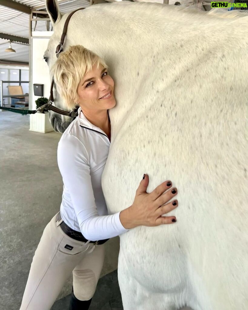 Selma Blair Instagram - I have the luxury of animals in my life. And this creature, has a playfulness and gorgeous energy that is nurtured everyday by my trainer at @cellardoorequestrian. When I have lost the plot, when I am treading water, my horse, Mr. Nibbles is a force greater than myself, grounding me here. When thoughts go haywire, when I lose my speech, holding onto this one clears my anxiety and loves me back. Thank you all creatures great and small. Image description: Image one: Selma has short blonde hair and is wearing a white long sleeve quarter zip top, tan pants, with a tan belt. She hugs her white horse, Mr. Nibbles while smiling at the camera. Image two: Selma has short blonde hair and is wearing a white long sleeve quarter zip top, tan pants, with a tan belt. She is giving Mr. Nibbles a kiss.