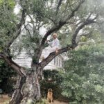 Selma Blair Instagram - Nearly a decade in this house. Finally climbed the great Olive. 🕊️