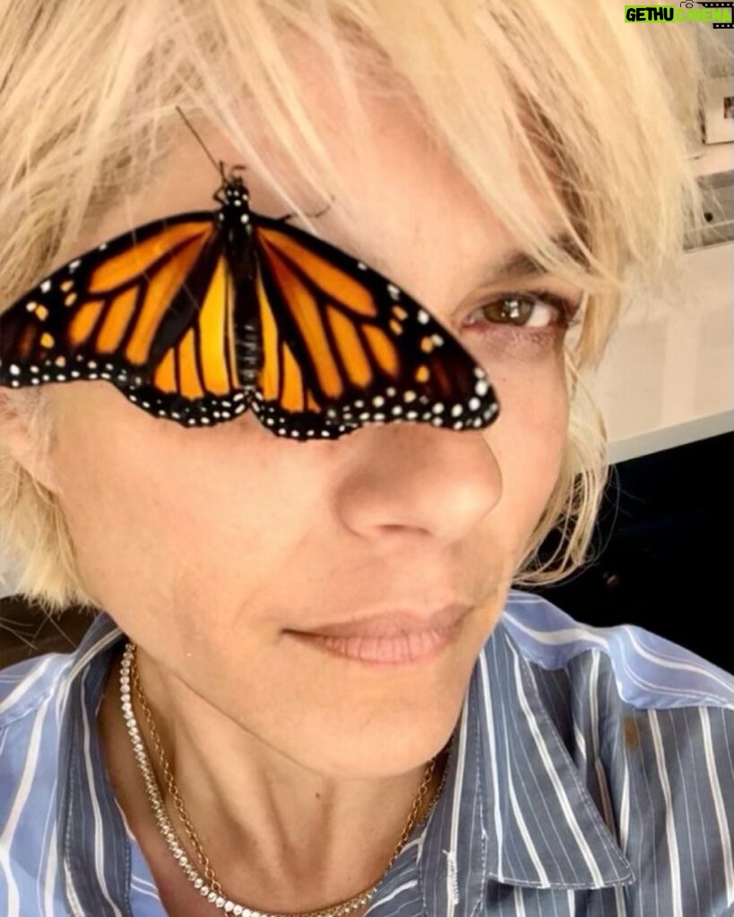 Selma Blair Instagram - I have assigned meaning before their due, searching past reason. But I believe in Transformation. And the reality of the butterfly. And that it has kept me company all afternoon. And still even now. Things are changing 👸 [Image and Video Descriptions: 1. Selma has short blonde hair and has a butterfly covering one eye. 2. The butterfly rests on the back of Selma’s head. 3. Video of Selma outside wearing a blue shirt with white stripes while speaking to the camera with a butterfly on her head.]