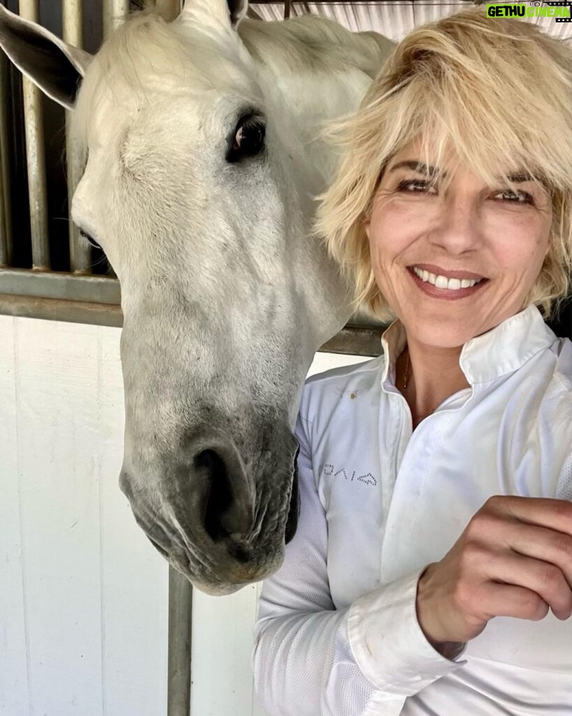 Selma Blair Instagram - This is my social life and it’s pretty grand. Mr Nibbles gives me all the emotions. 🎭 It’s getting hot out here, drink your water 💁🏼💦 Image Descriptions: Image 1: Selma has short blonde hair and wears a white long sleeve shirt. She is smiling and standing next to her white horse. Image 2: Selma wears a white long sleeve, tan pants, boots, and a helmet and is sitting outside. Video: Video of Selma riding her horse Image 3: Selma poses with her horse Image 4: Close up image of Selma in her riding gear. Image 5: Selma poses with her horse.