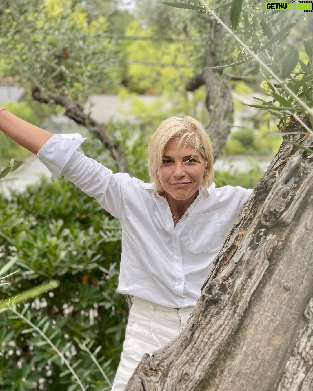 Selma Blair Instagram - Nearly a decade in this house. Finally climbed the great Olive. 🕊️