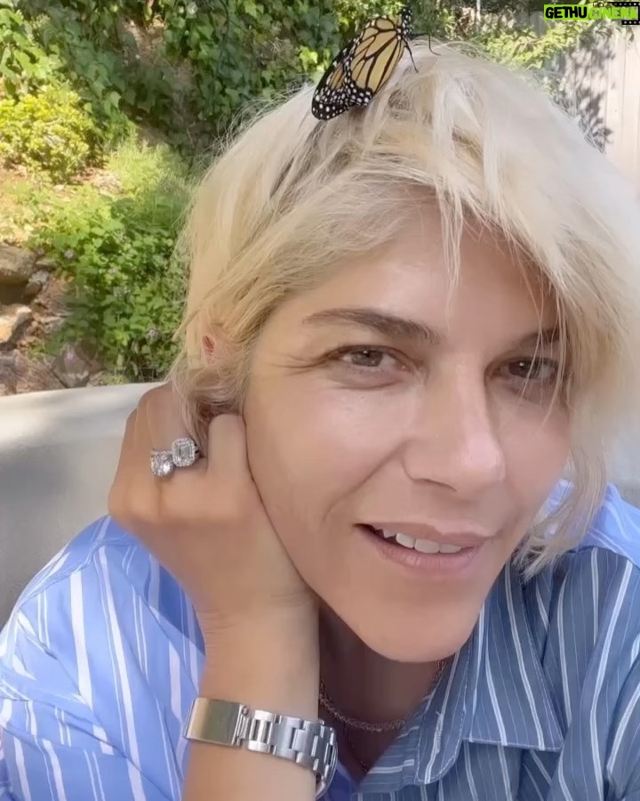 Selma Blair Instagram - I have assigned meaning before their due, searching past reason. But I believe in Transformation. And the reality of the butterfly. And that it has kept me company all afternoon. And still even now. Things are changing 👸 [Image and Video Descriptions: 1. Selma has short blonde hair and has a butterfly covering one eye. 2. The butterfly rests on the back of Selma’s head. 3. Video of Selma outside wearing a blue shirt with white stripes while speaking to the camera with a butterfly on her head.]