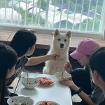 Seol In-a Instagram - 당근을 흔들어주세요🥕