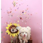 Seol In-a Instagram – Thx BF