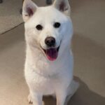 Seol In-a Instagram - Julie Collection