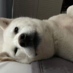 Seol In-a Instagram - Julie Collection