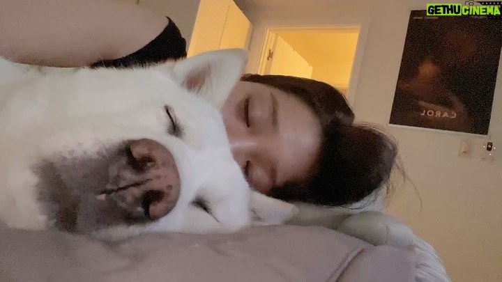 Seol In-a Instagram - 코꼬녕 벌렁벌렁 Goood Night