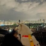 Seol In-a Instagram - Feb