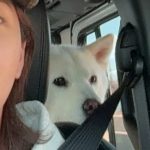 Seol In-a Instagram - 도파민디톡스가 필요 줄리야 발 쓸면서 걷지말어라