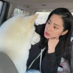 Seol In-a Instagram - 언니 말 잘 들을꺼야 안들을꺼야 앙?! -> 안드르꺼야 -> 뽀뽀는 해주꾸야 #대기중