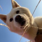 Seol In-a Instagram - 멍매거진 12월호 방줄리님과의 인터뷰 ☆언제나 새로운 각도로 세상을 바라보려 노력중이에오☆