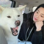 Seol In-a Instagram - 언니 말 잘 들을꺼야 안들을꺼야 앙?! -> 안드르꺼야 -> 뽀뽀는 해주꾸야 #대기중