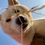 Seol In-a Instagram - 멍매거진 12월호 방줄리님과의 인터뷰 ☆언제나 새로운 각도로 세상을 바라보려 노력중이에오☆