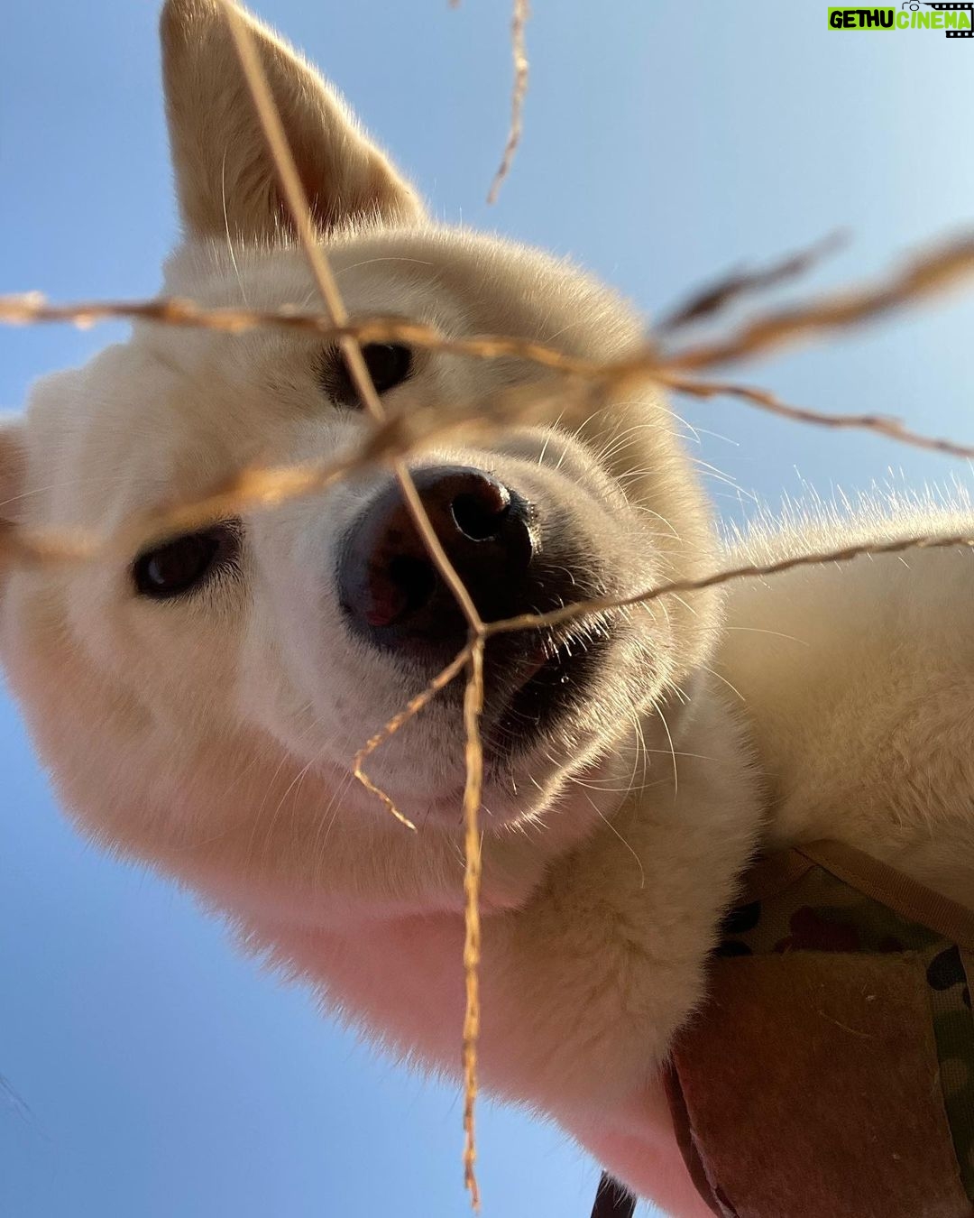 Seol In-a Instagram - 멍매거진 12월호 방줄리님과의 인터뷰 ☆언제나 새로운 각도로 세상을 바라보려 노력중이에오☆