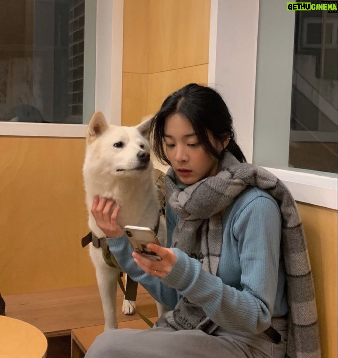 Seol In-a Instagram - 언니야 언니야! 뚱구 시 마려 나 좀 바바 아ㅏㅏㅏㅏ오!뚜씨👊🏽 (하품이에요)