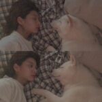 Seol In-a Instagram - 우리집에 북극ㅇ...곰...이 산다 여름이 너무 힘들겠다 우리집 북극곰 그리고 북극곰들