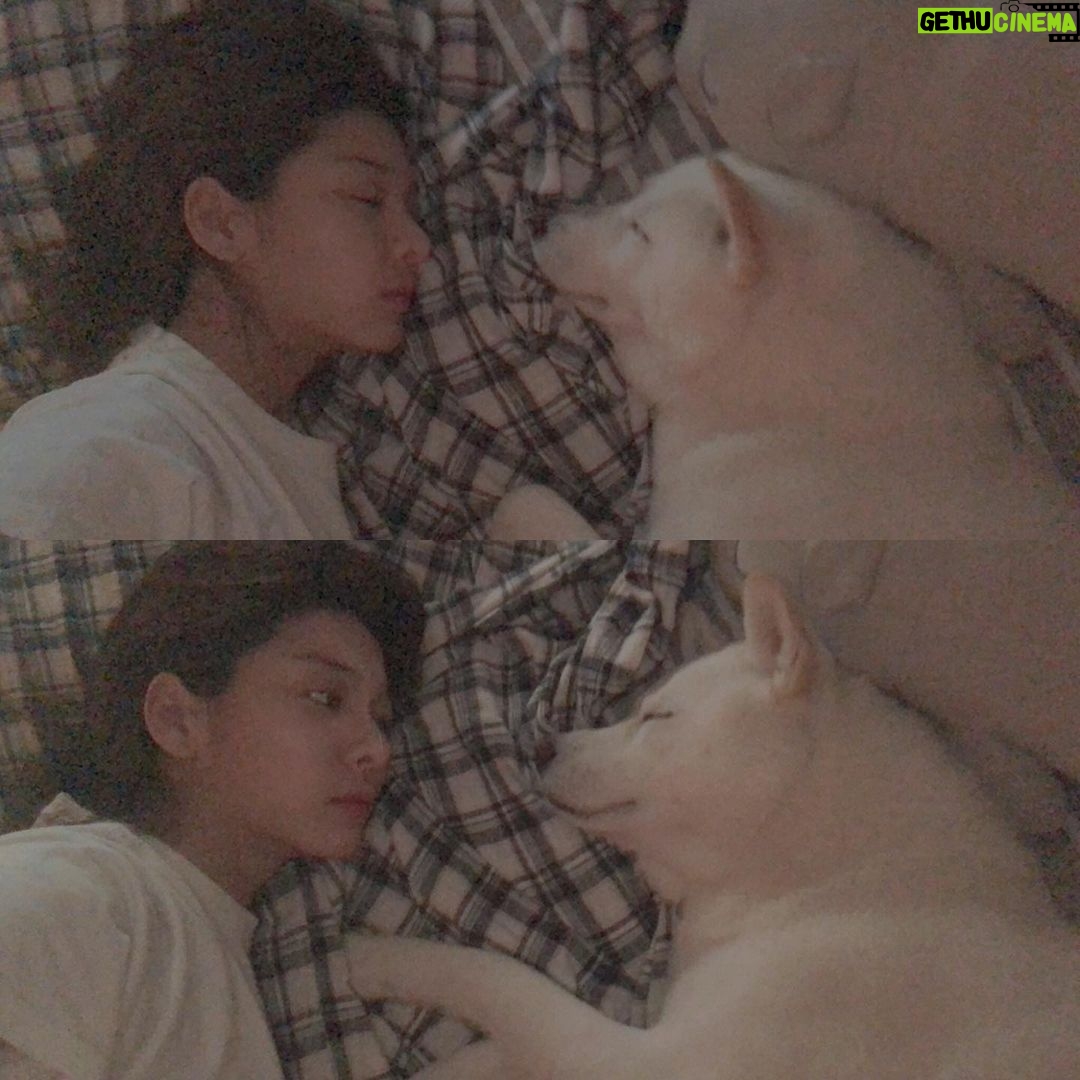 Seol In-a Instagram - 우리집에 북극ㅇ...곰...이 산다 여름이 너무 힘들겠다 우리집 북극곰 그리고 북극곰들