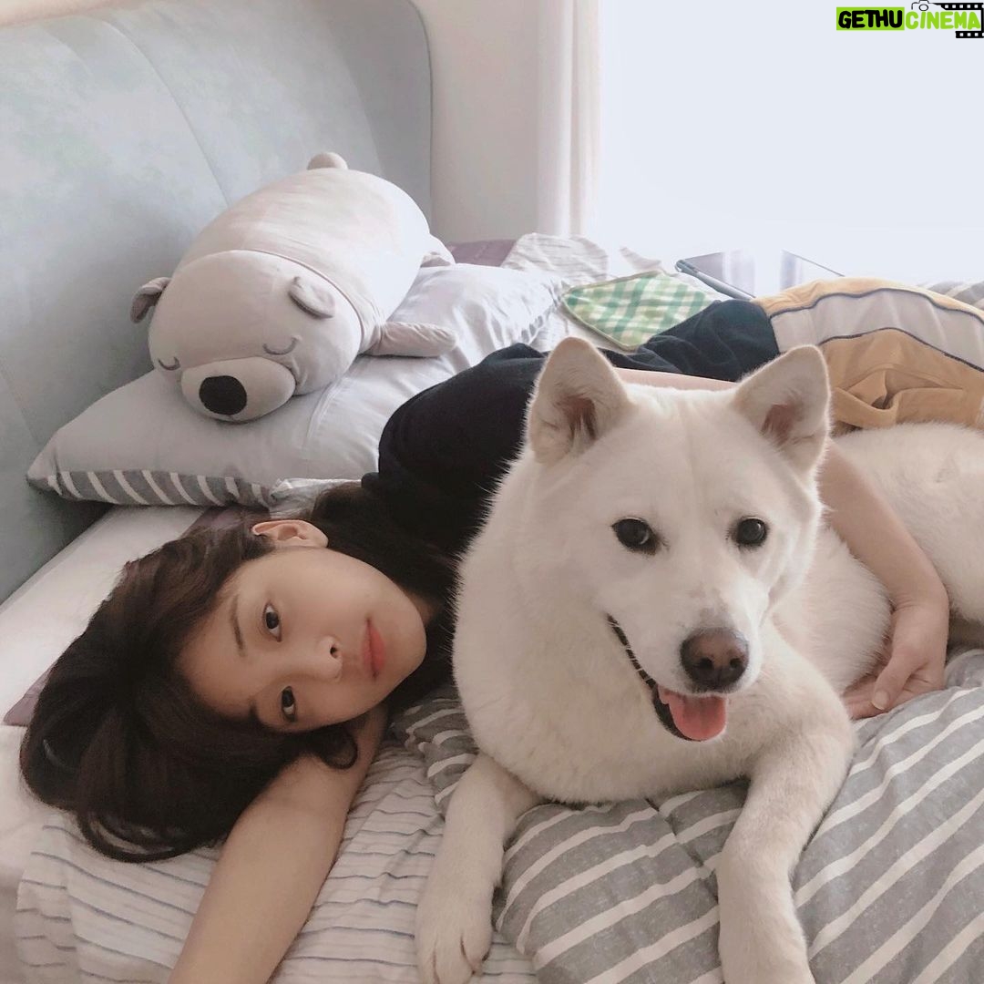 Seol In-a Instagram - 너가 있기에 내가 있어 보고만 있어도 따뜻해♡ ..그리고 더워...^^ 나의 벗, 우리집 막내 그리고 사랑 그 자체 —̳͟͞͞♡