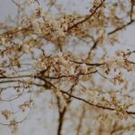 Seol In-a Instagram -