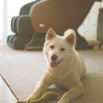Seol In-a Instagram – My Cutiepie
(다섯번째 사진 왼쪽 보면 사료 몇알 옮겨놓은 포인트가 짱귀)
#filmphotography