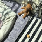 Seol In-a Instagram – 티버랑 낑깡 
빵뚠뚜는 장난감마저 귀여워 어떻게?