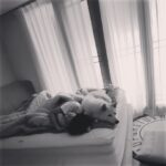 Seol In-a Instagram - 밤마다 날 지켜주는 천사🧚🏻